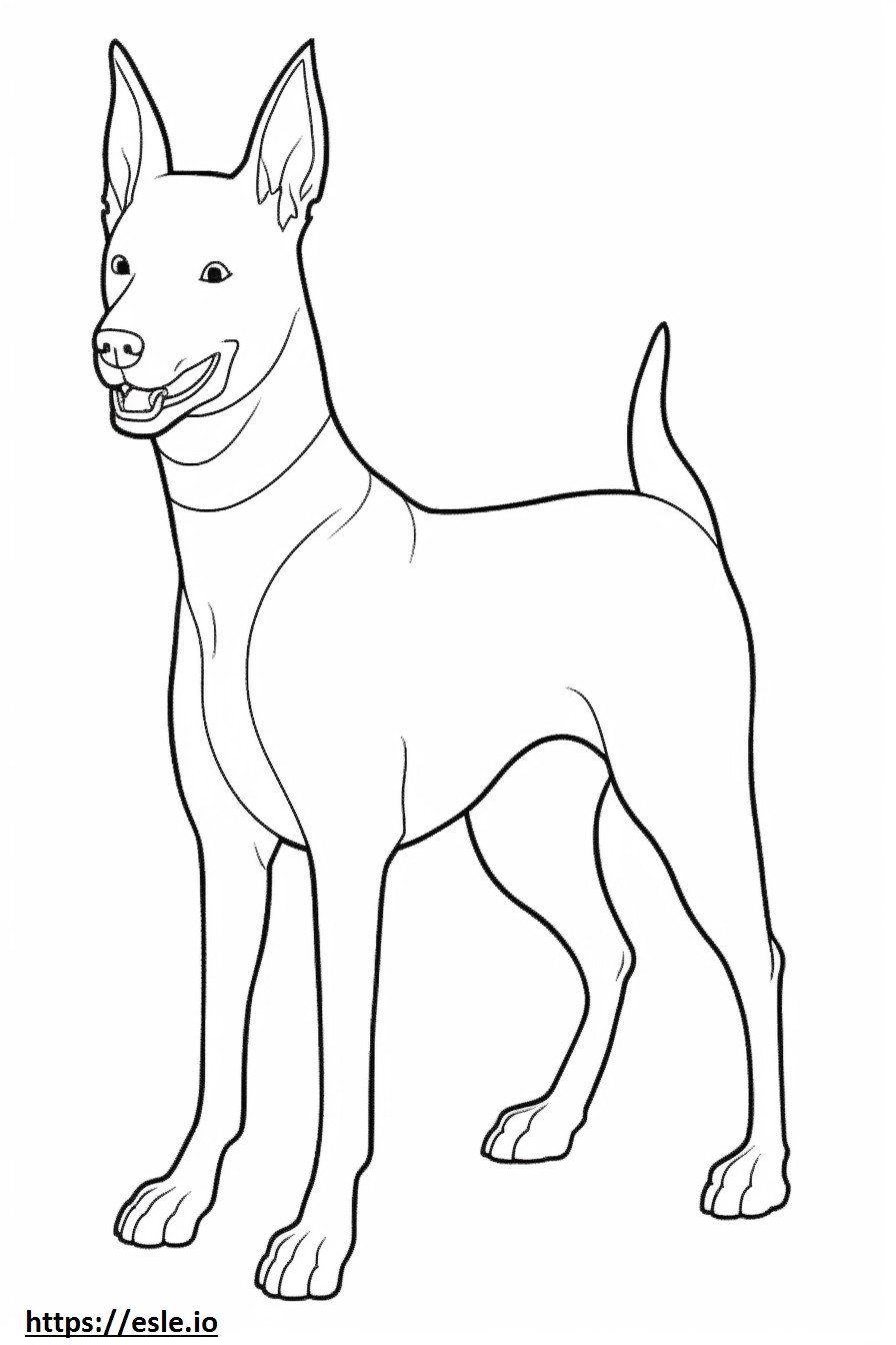 Basenji-Hund glücklich ausmalbild