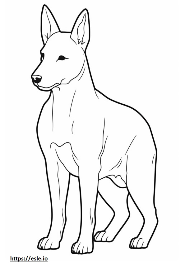 Basenji Dog cute coloring page