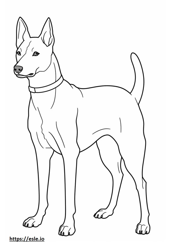 Basenji Dog happy coloring page