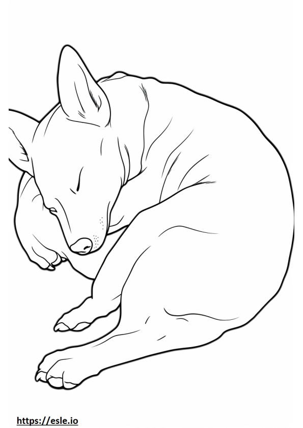 Basenji-hond slaapt kleurplaat