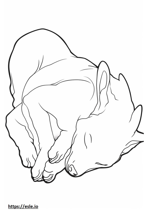 寝ているバセンジー犬 ぬりえ - 塗り絵