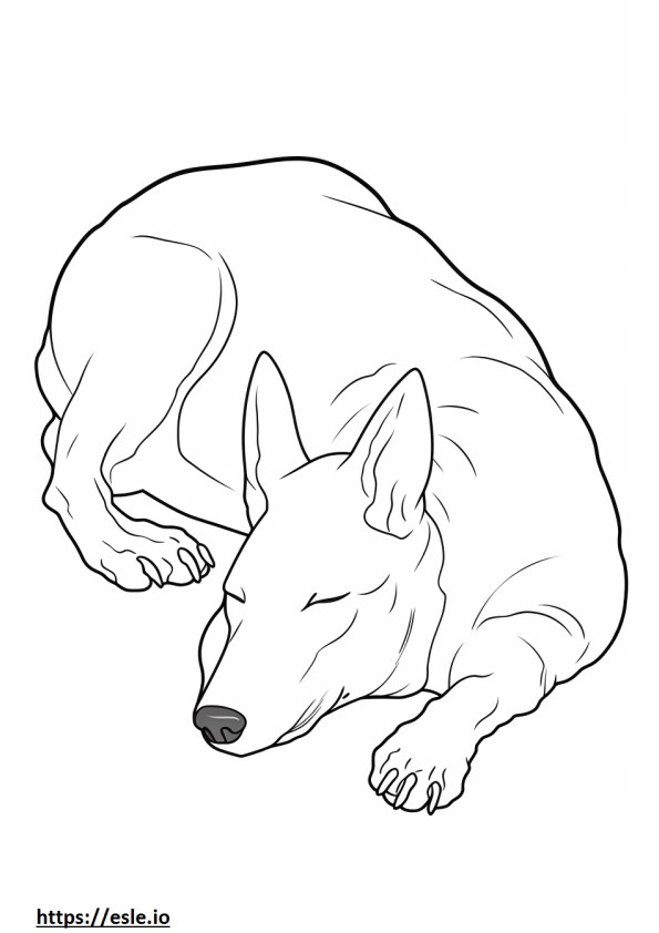 Basenji-Hund schläft ausmalbild
