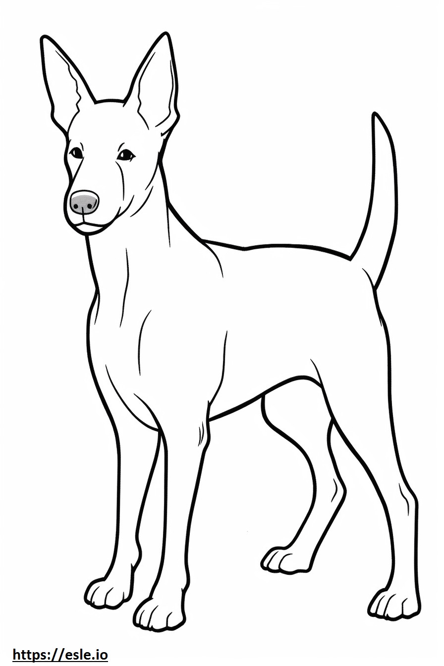 Basenji-hond Kawaii kleurplaat kleurplaat