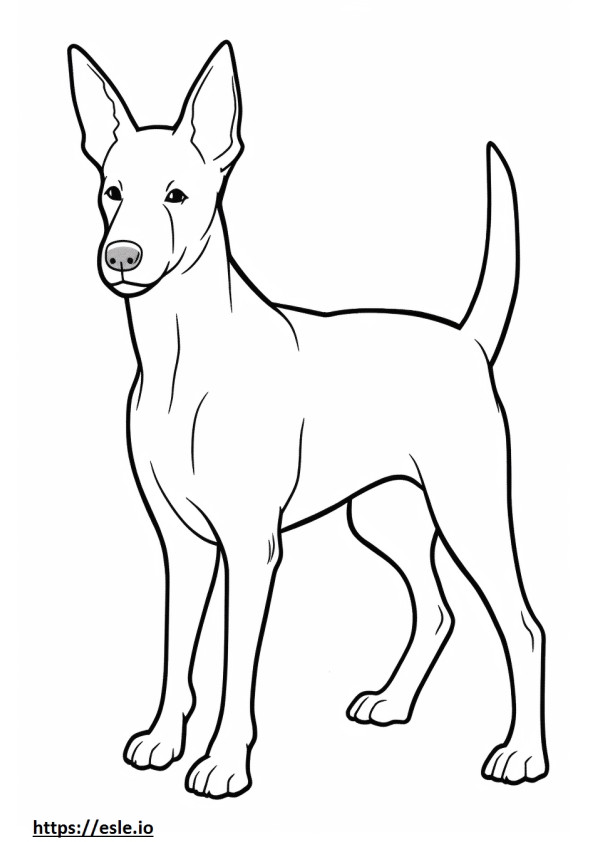 Basenji-Hund Kawaii ausmalbild