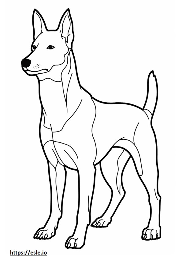 Se admiten perros Basenji para colorear e imprimir