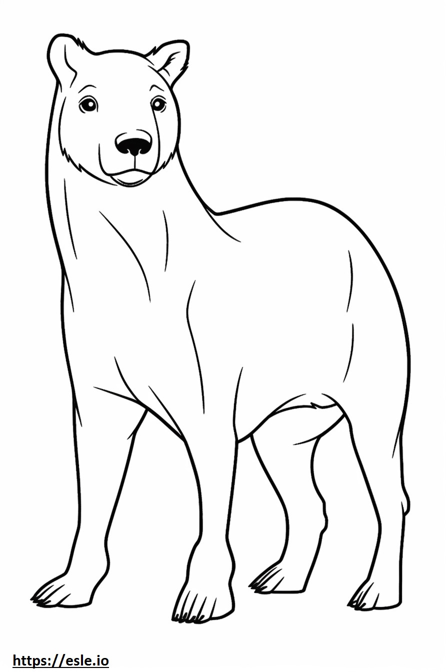 Bassador full body coloring page