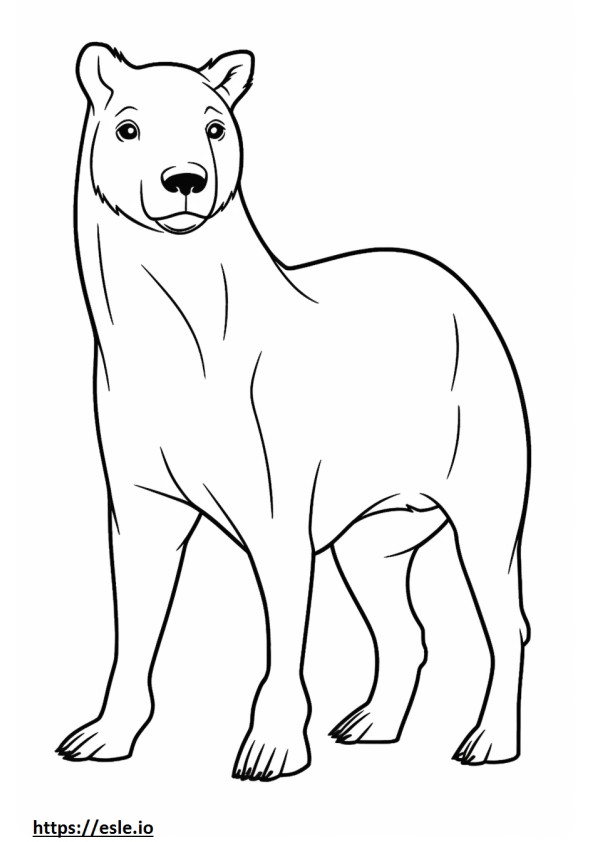 Bassador full body coloring page