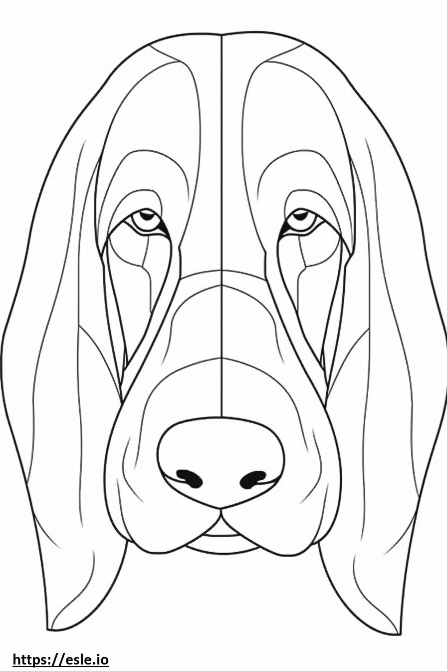 Basset Hound face coloring page