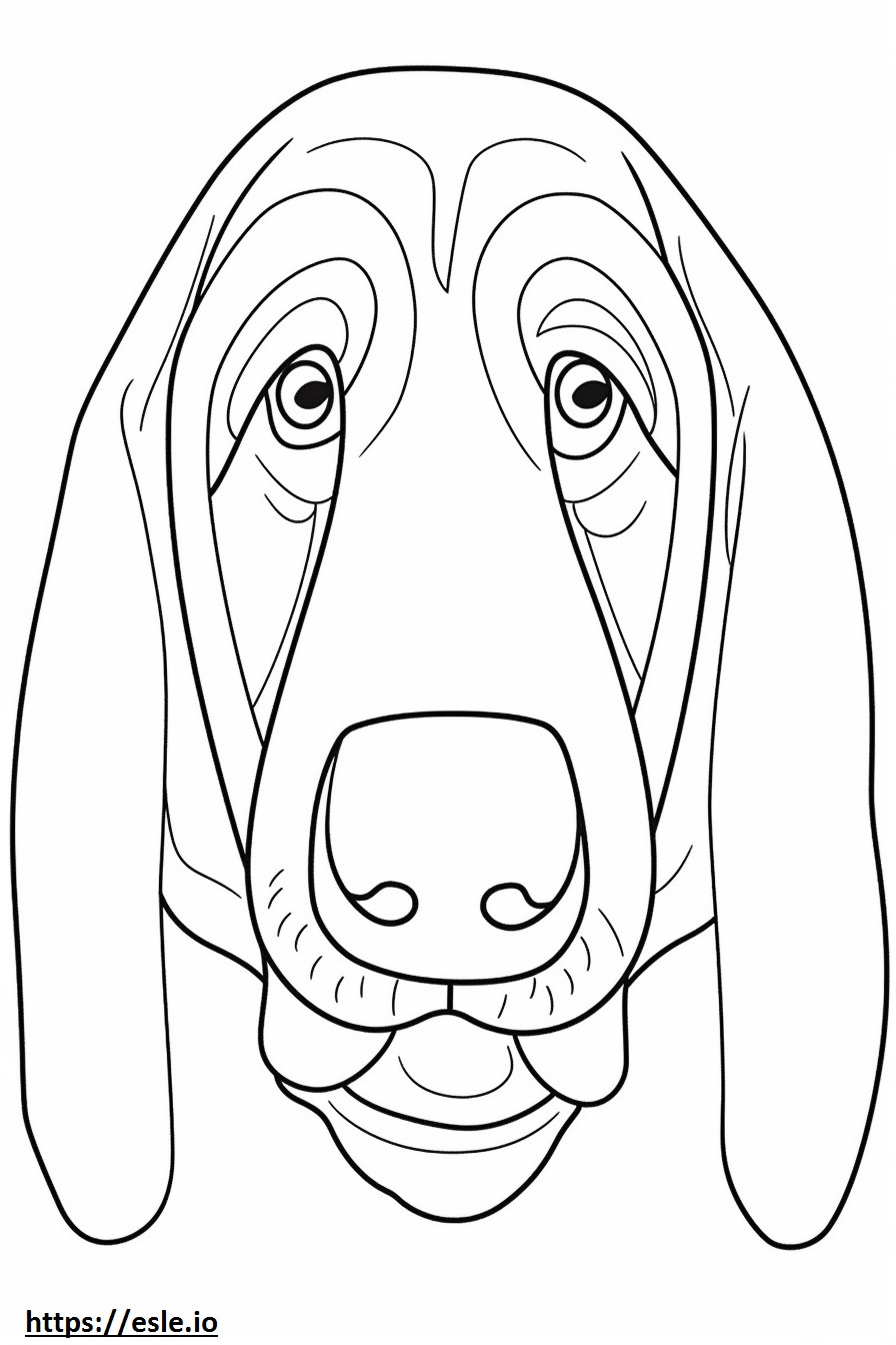 Basset Hound-gezicht kleurplaat kleurplaat