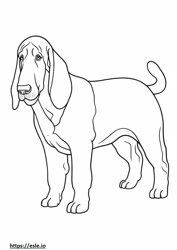 Basset Hound full body coloring page