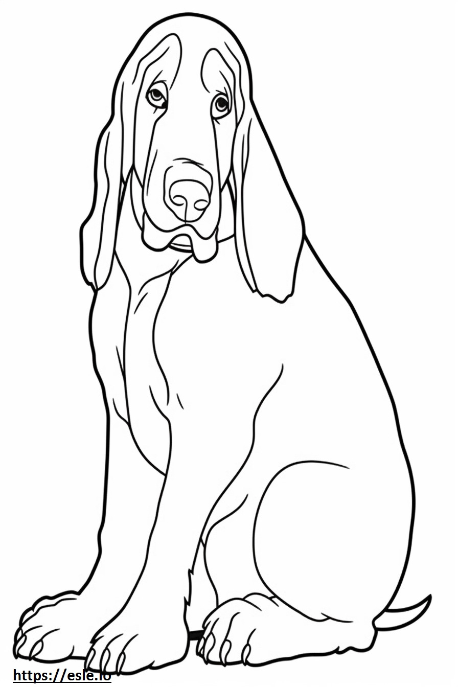 Basset Hound baby coloring page
