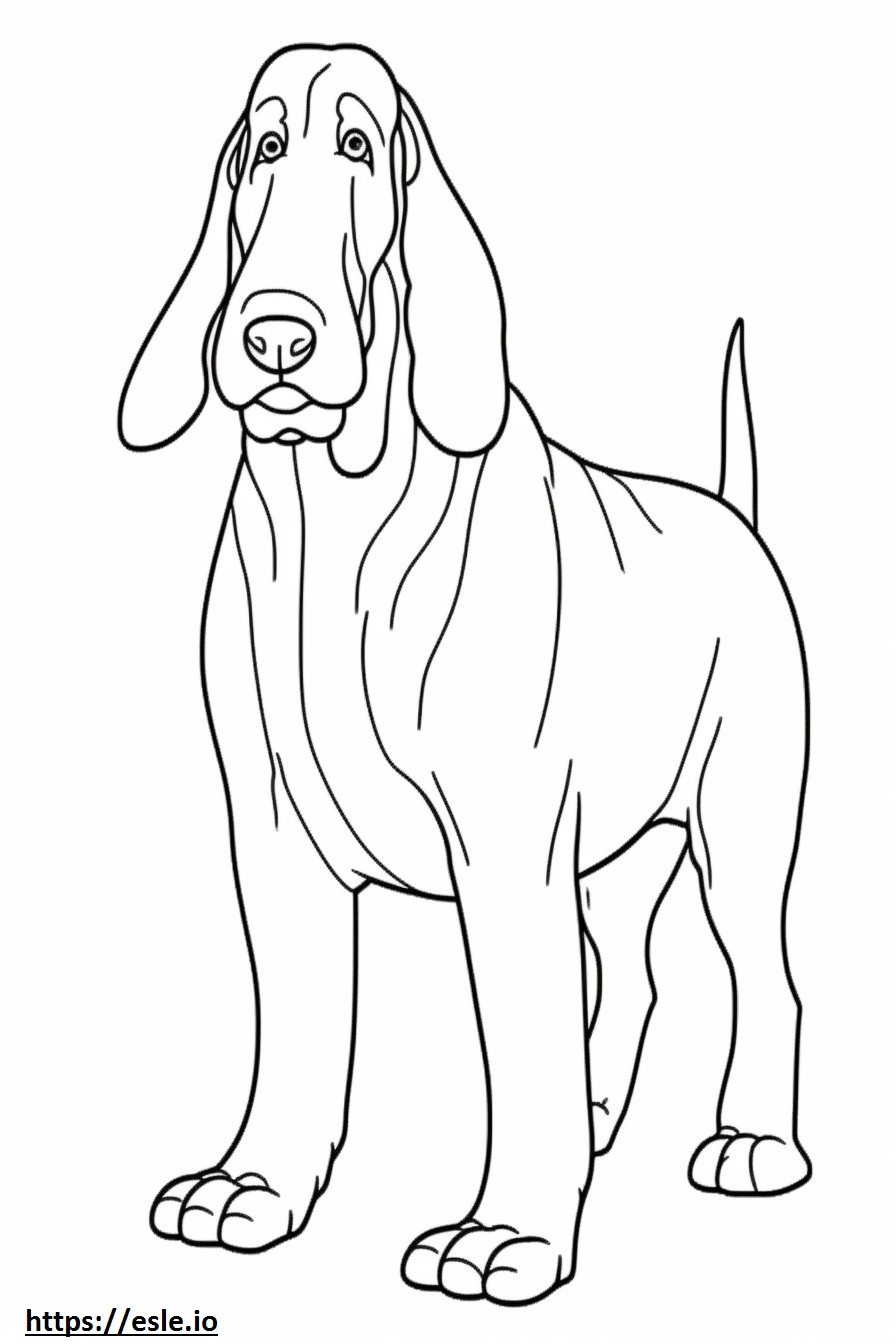 Basset Hound cute coloring page