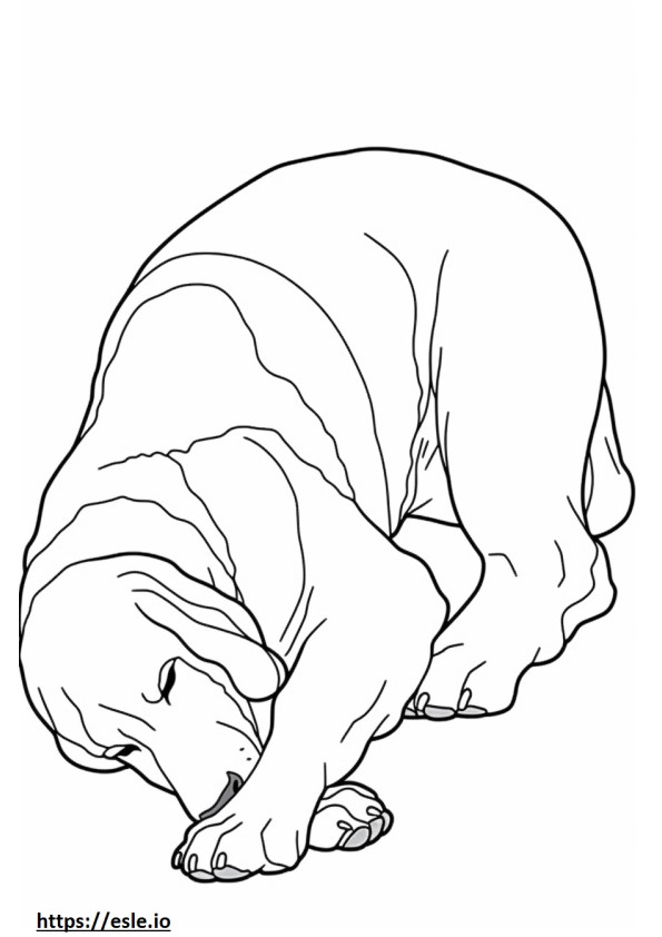 Basset Hound dormindo para colorir