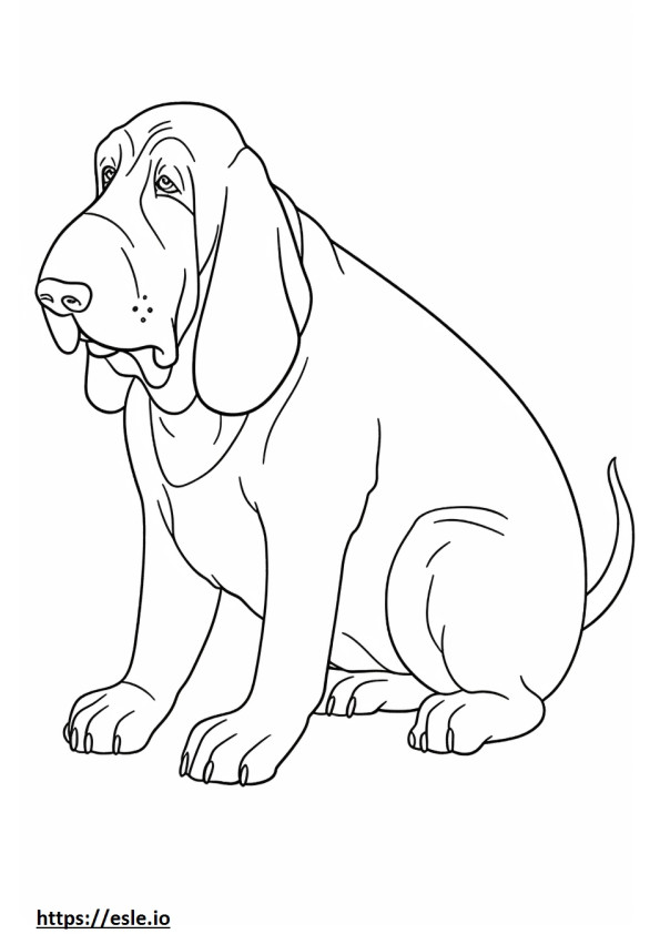 Basset Hound Playing coloring page