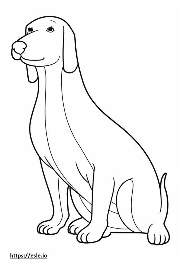 Bassetoodle full body coloring page
