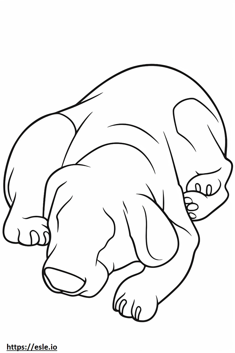 Bassetoodle Sleeping coloring page