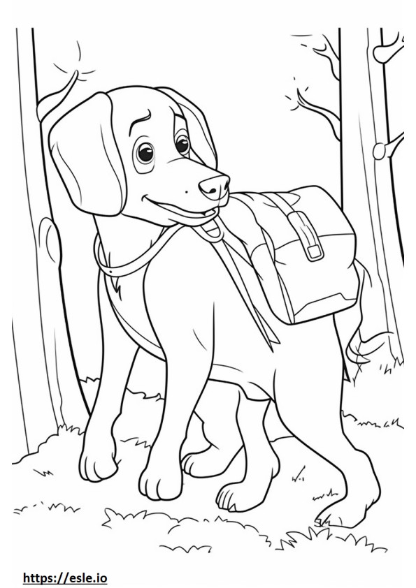 Bassetoodle Playing coloring page