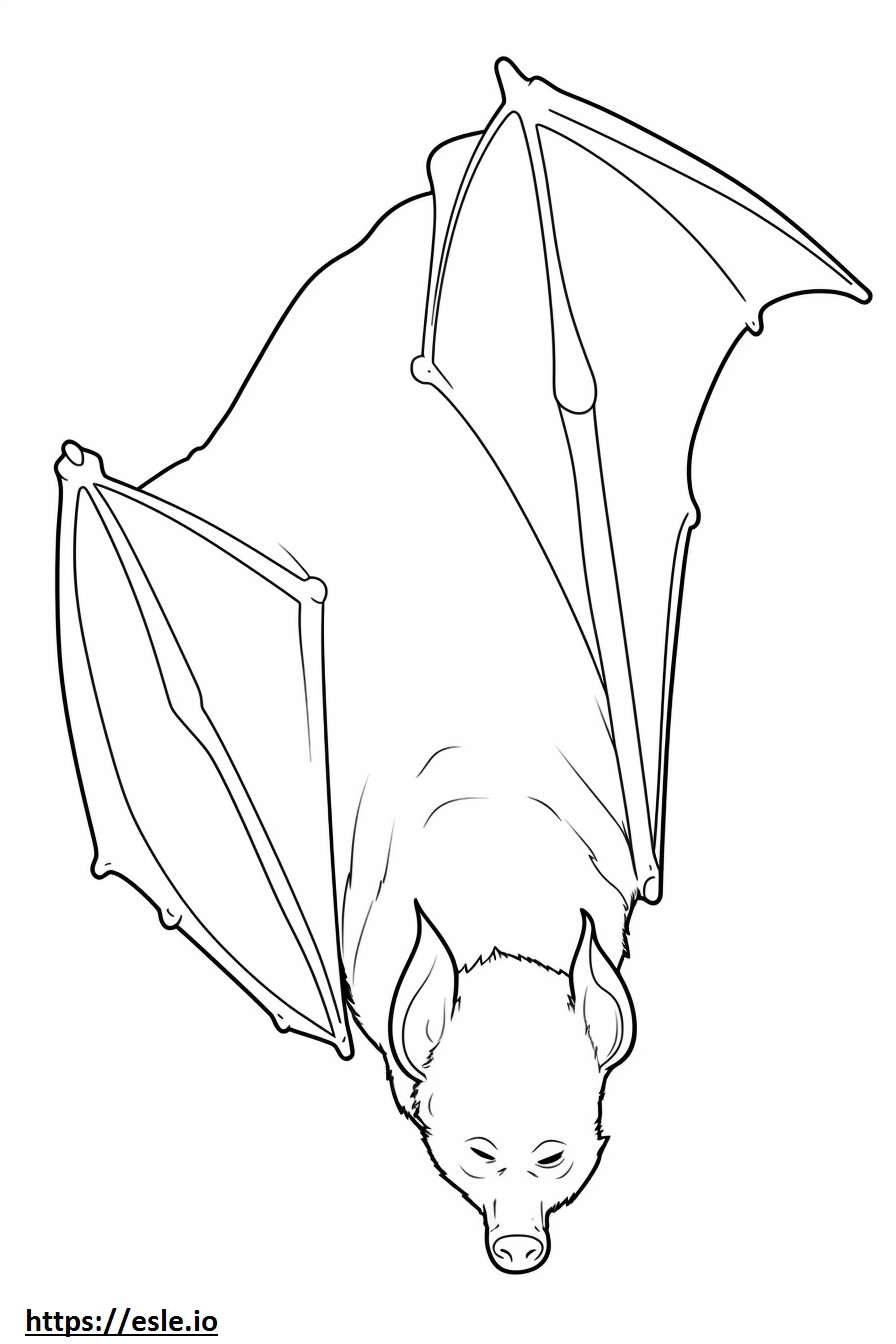 Bat Sleeping coloring page