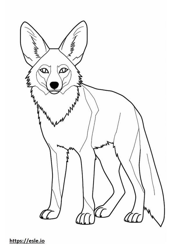Bat-Eared Fox, volledig lichaam kleurplaat