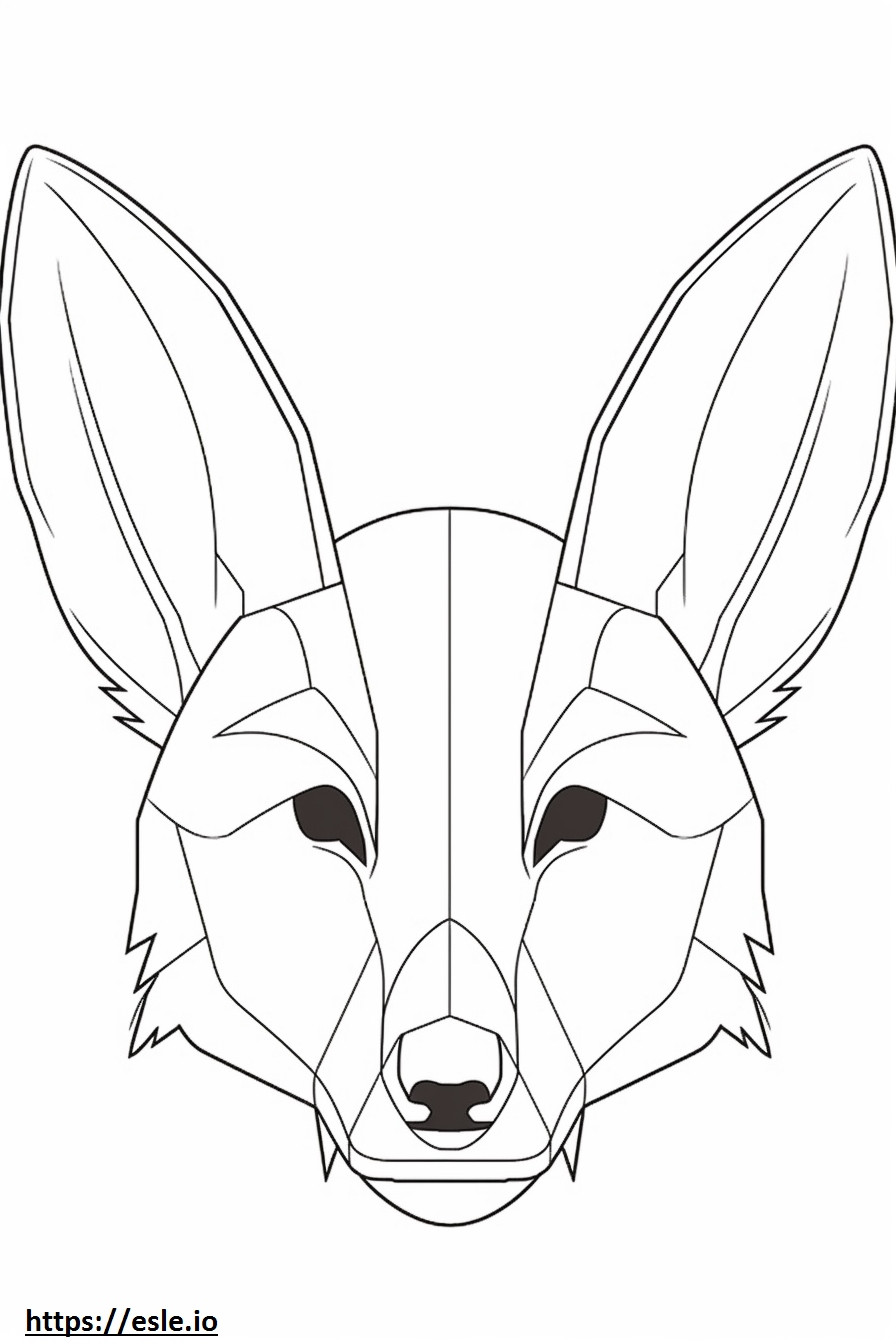 Bat-Eared Fox kasvot värityskuva