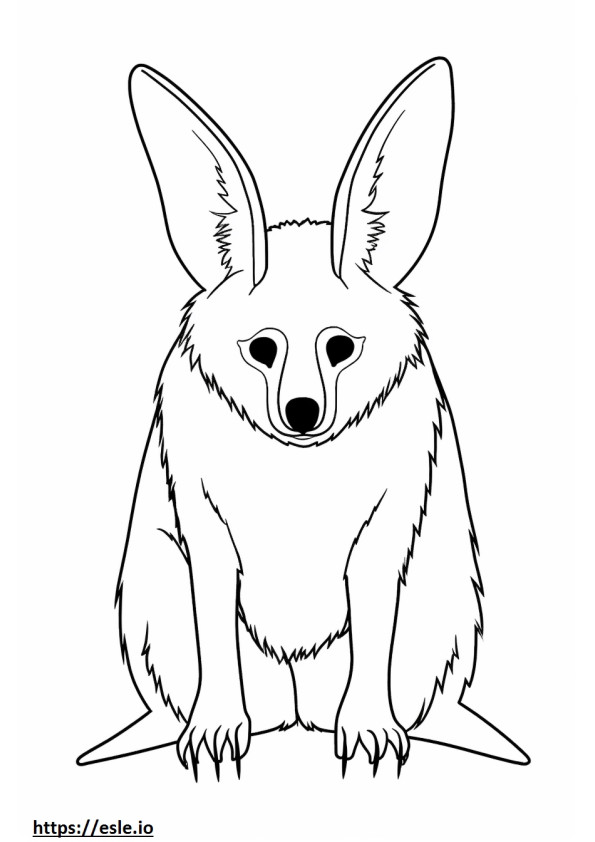Bat-Eared Fox schattig kleurplaat