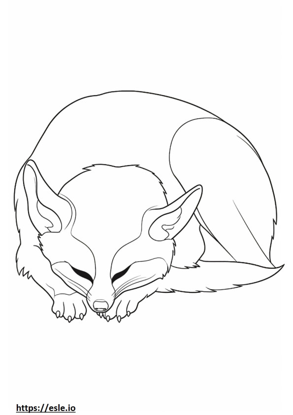 Bat-Eared Fox Sleeping coloring page