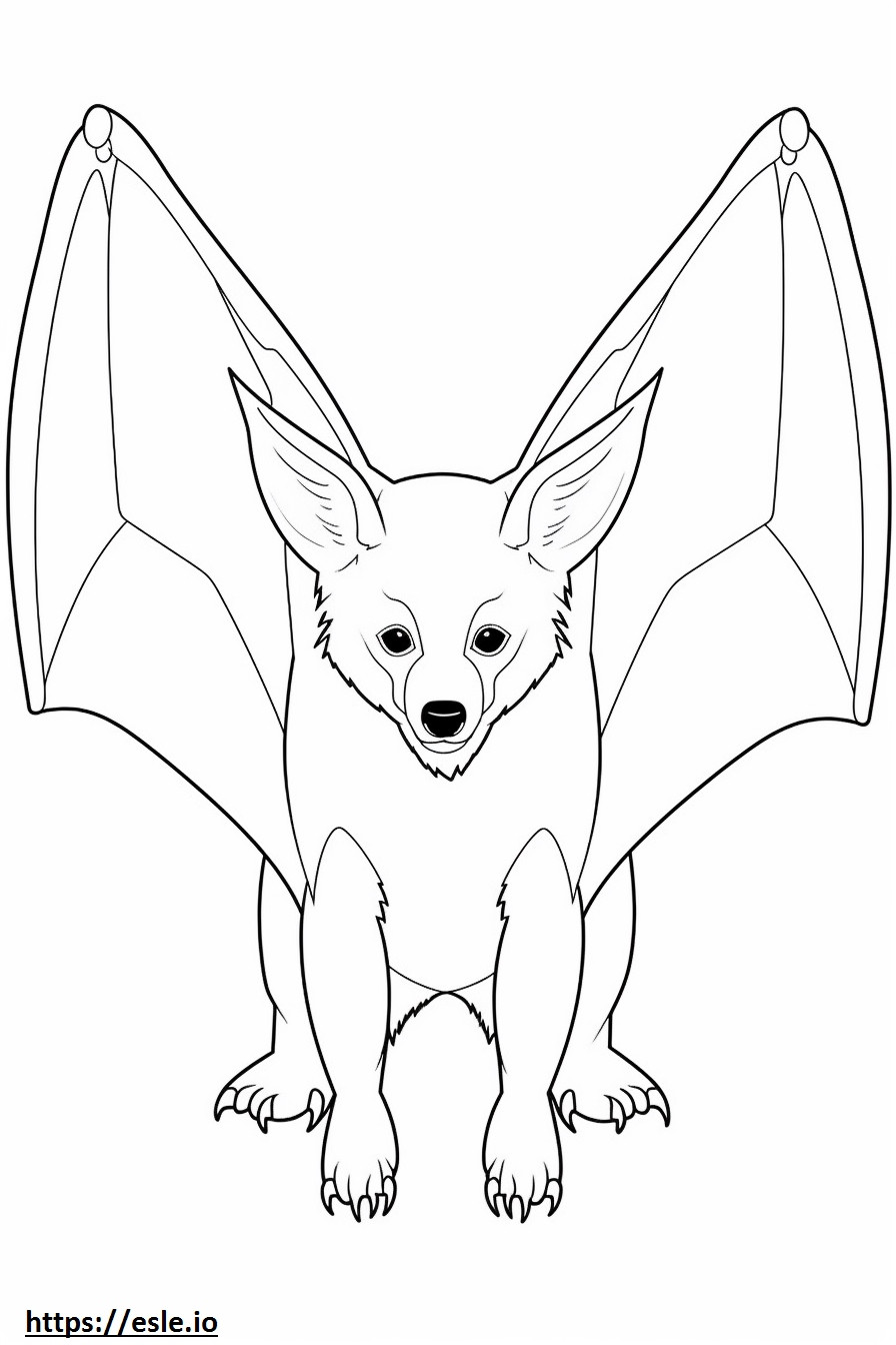 Bat-Eared Fox happy coloring page