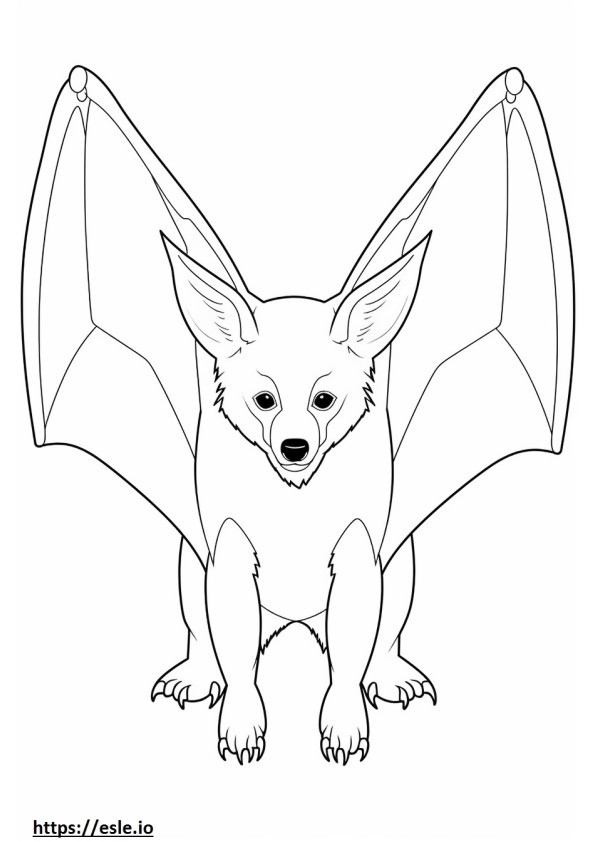 Bat-Eared Fox happy coloring page