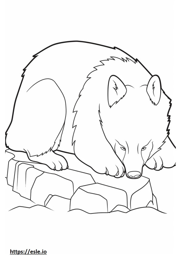 Śpiący lis z uszami nietoperza kolorowanka