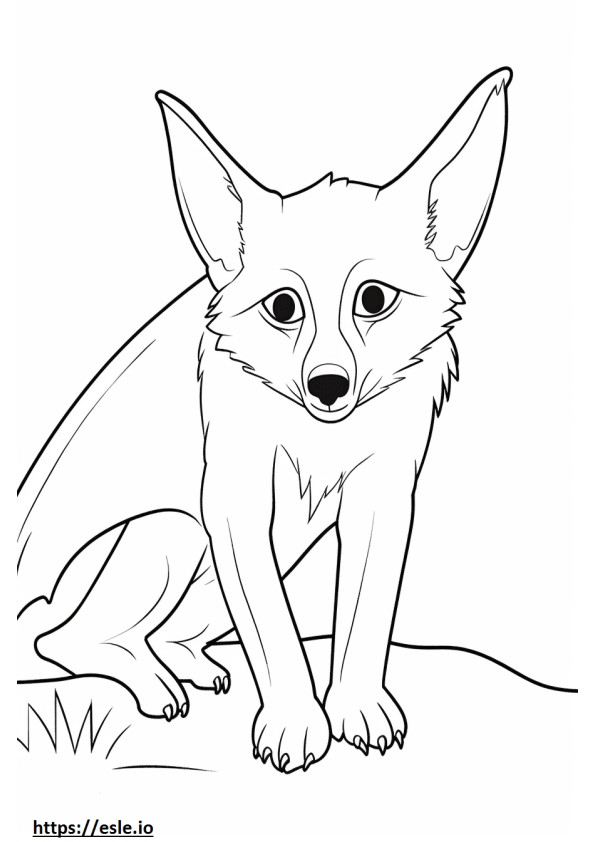 Bat-Eared Fox leikkii värityskuva