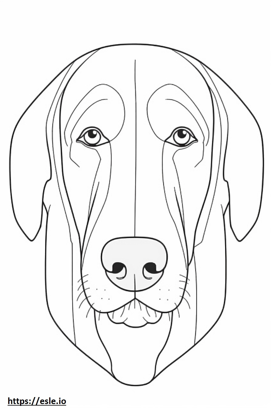 Bavarian Mountain Hound face coloring page