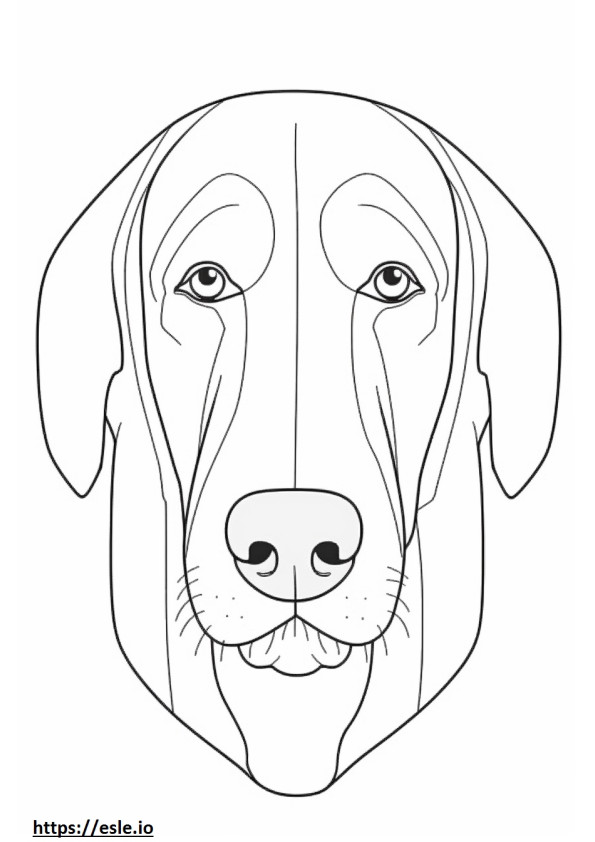 Bavarian Mountain Hound face coloring page