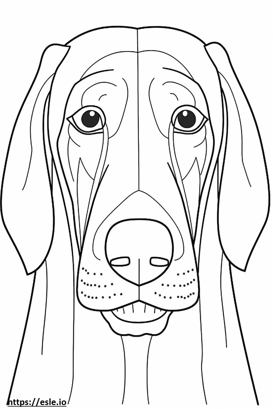 Gesicht des Bayerischen Gebirgshundes ausmalbild