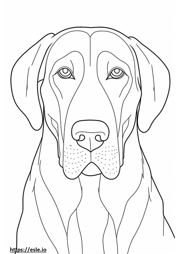 Gesicht des Bayerischen Gebirgshundes ausmalbild