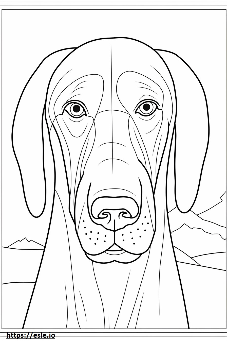 Coloriage Visage de chien courant de montagne bavarois à imprimer