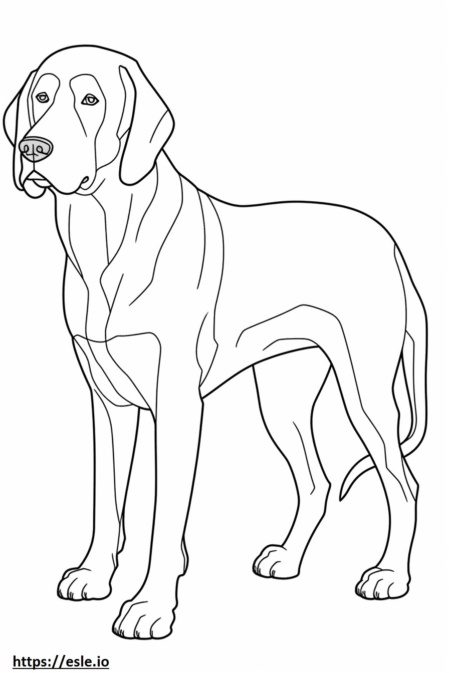 Bavarian Mountain Hound full body coloring page