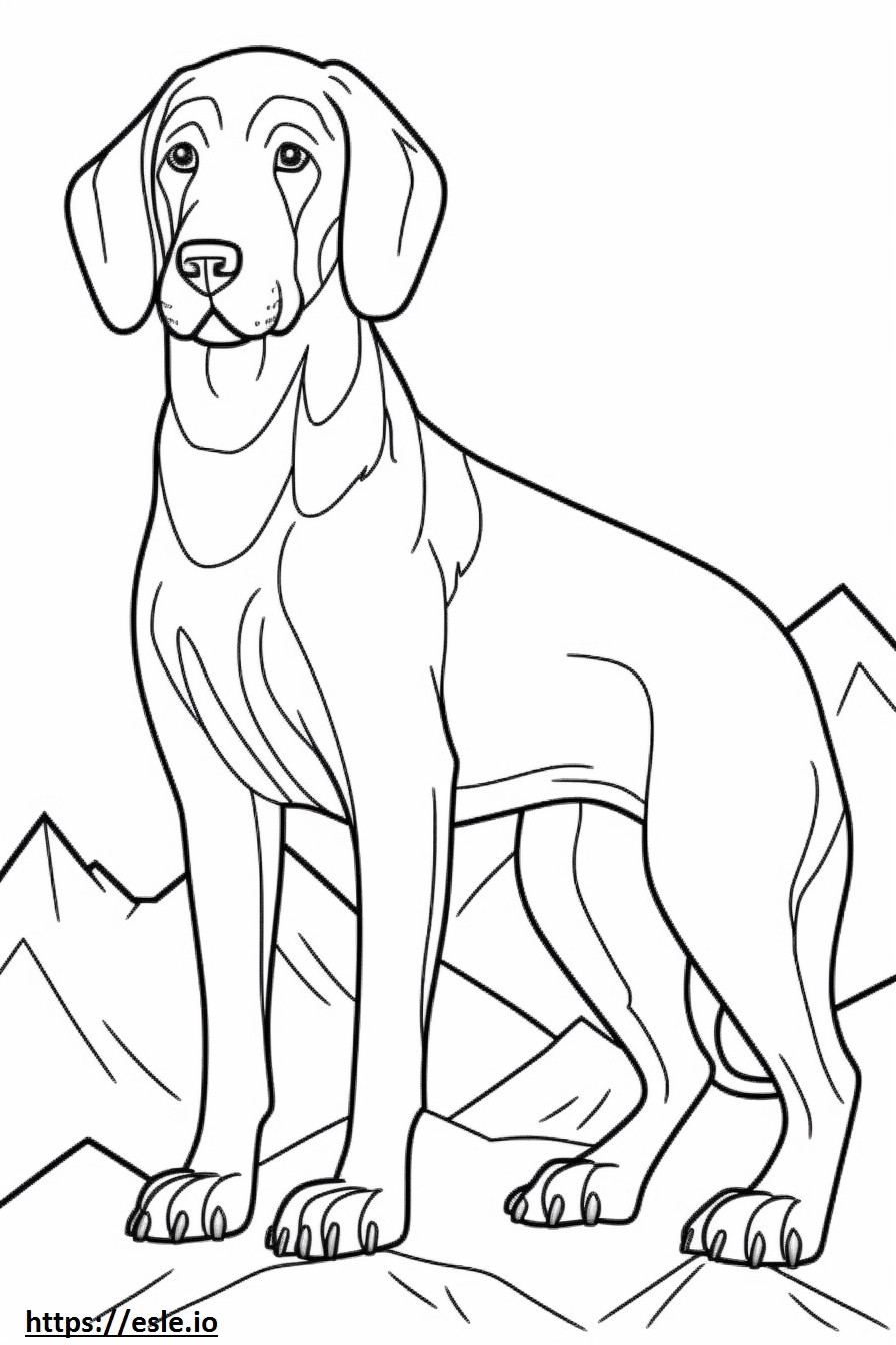 Bavarian Mountain Hound baby coloring page