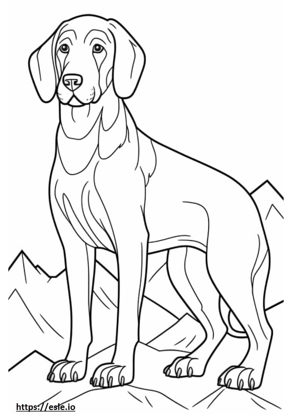 Copil de câine de munte bavarez de colorat