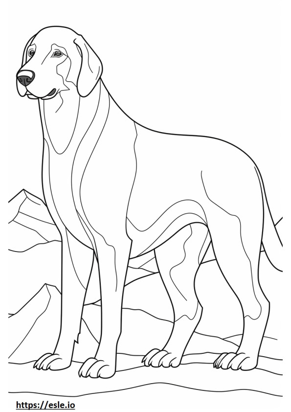 Bavarian Mountain Hound full body coloring page
