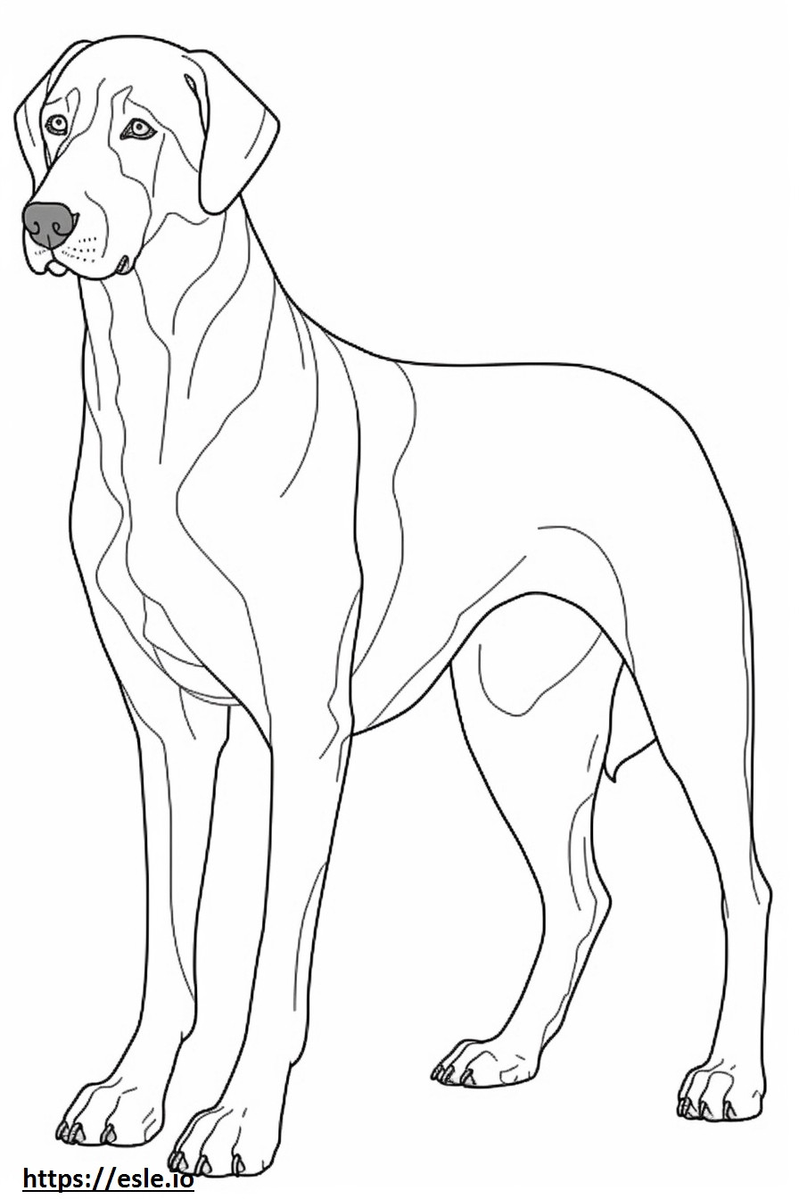 Cão de montanha bávaro de corpo inteiro para colorir