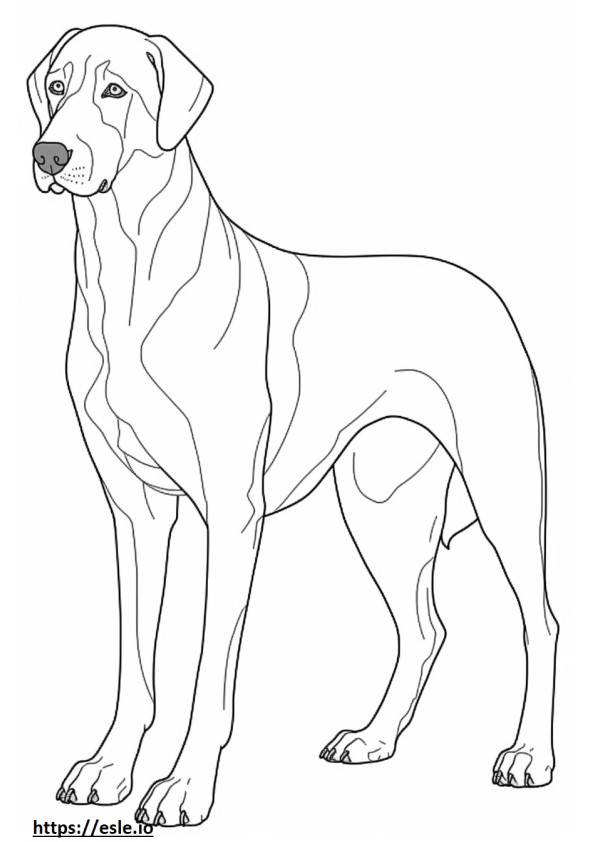 Cão de montanha bávaro de corpo inteiro para colorir