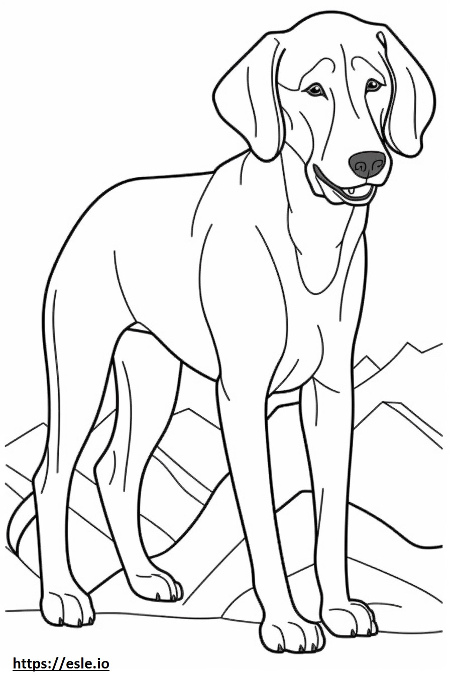 Copil de câine de munte bavarez de colorat
