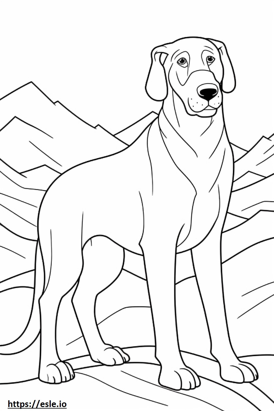 Bavarian Mountain Hound cartoon coloring page