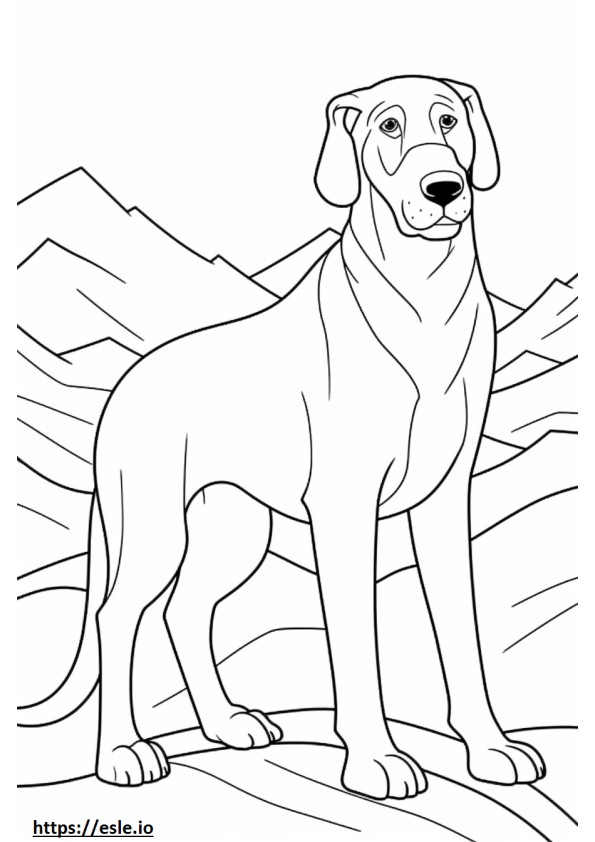 Kartun Anjing Gunung Bavaria gambar mewarnai