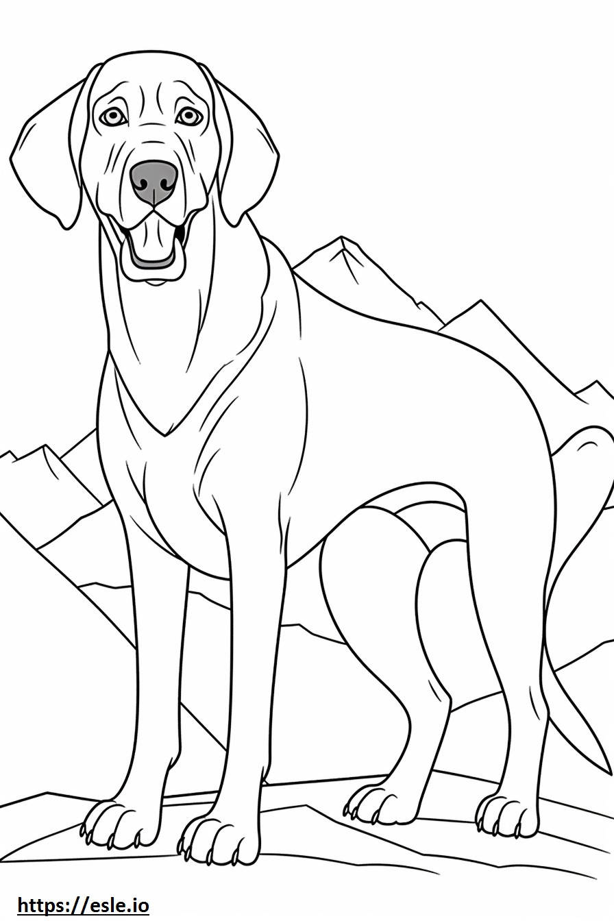 Coloriage Caricature de chien de montagne bavarois à imprimer