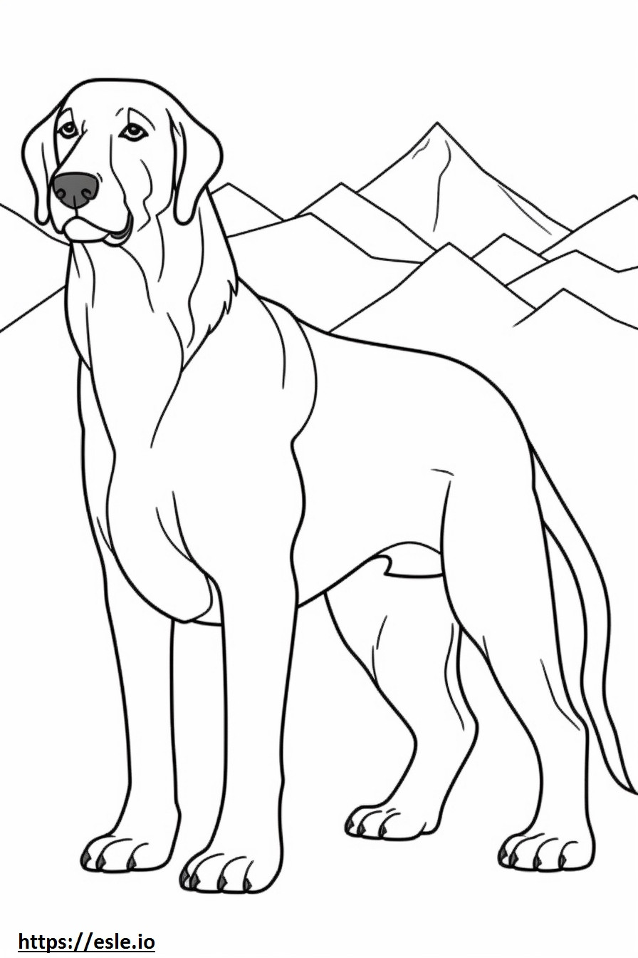 Bavarian Mountain Hound cartoon coloring page