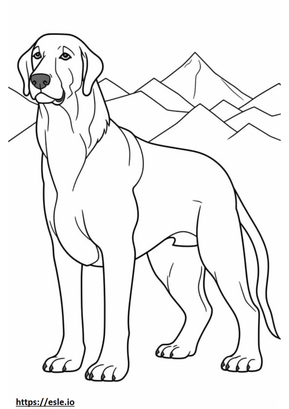 Coloriage Caricature de chien de montagne bavarois à imprimer