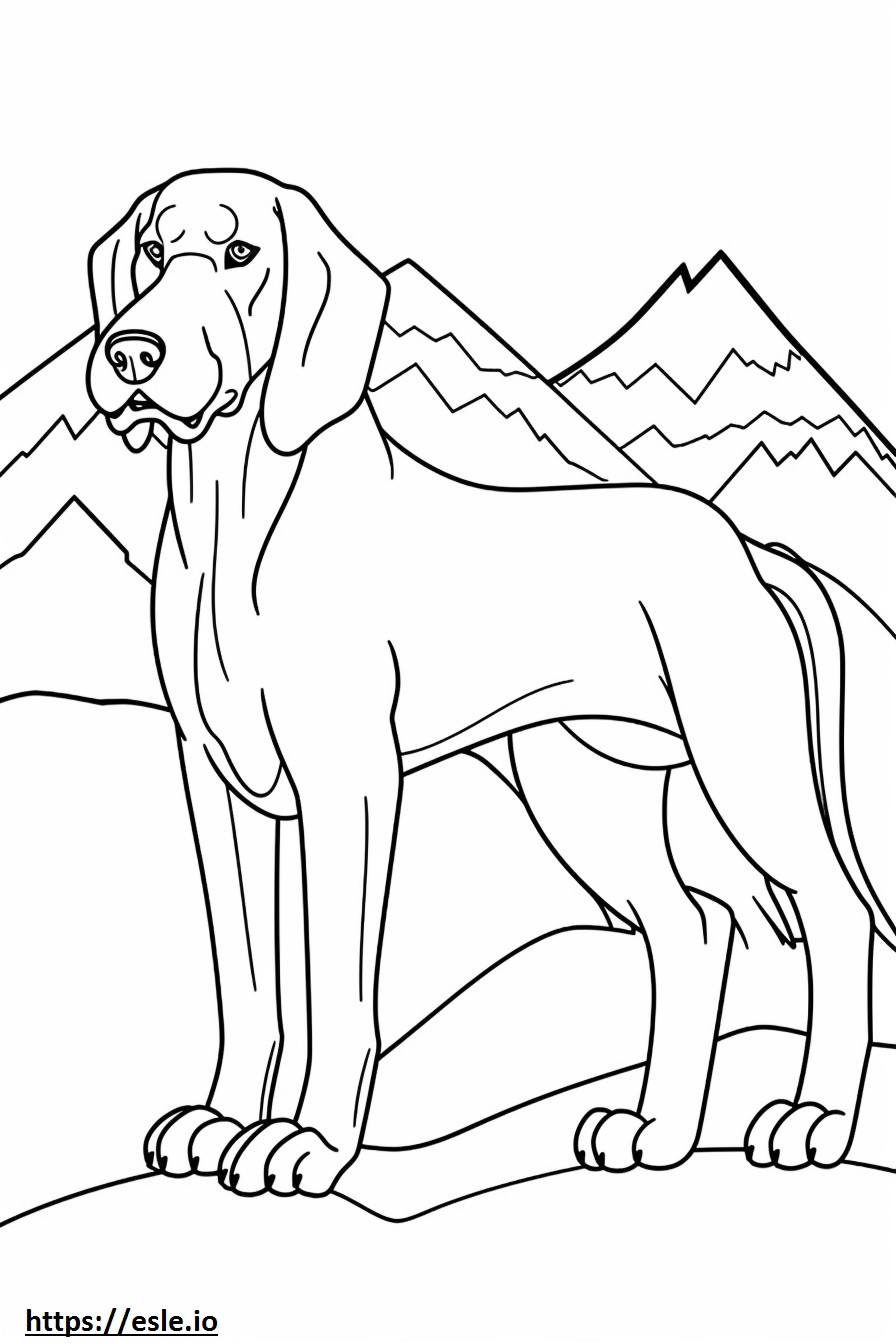 Desenho animado do Cão da Montanha da Baviera para colorir