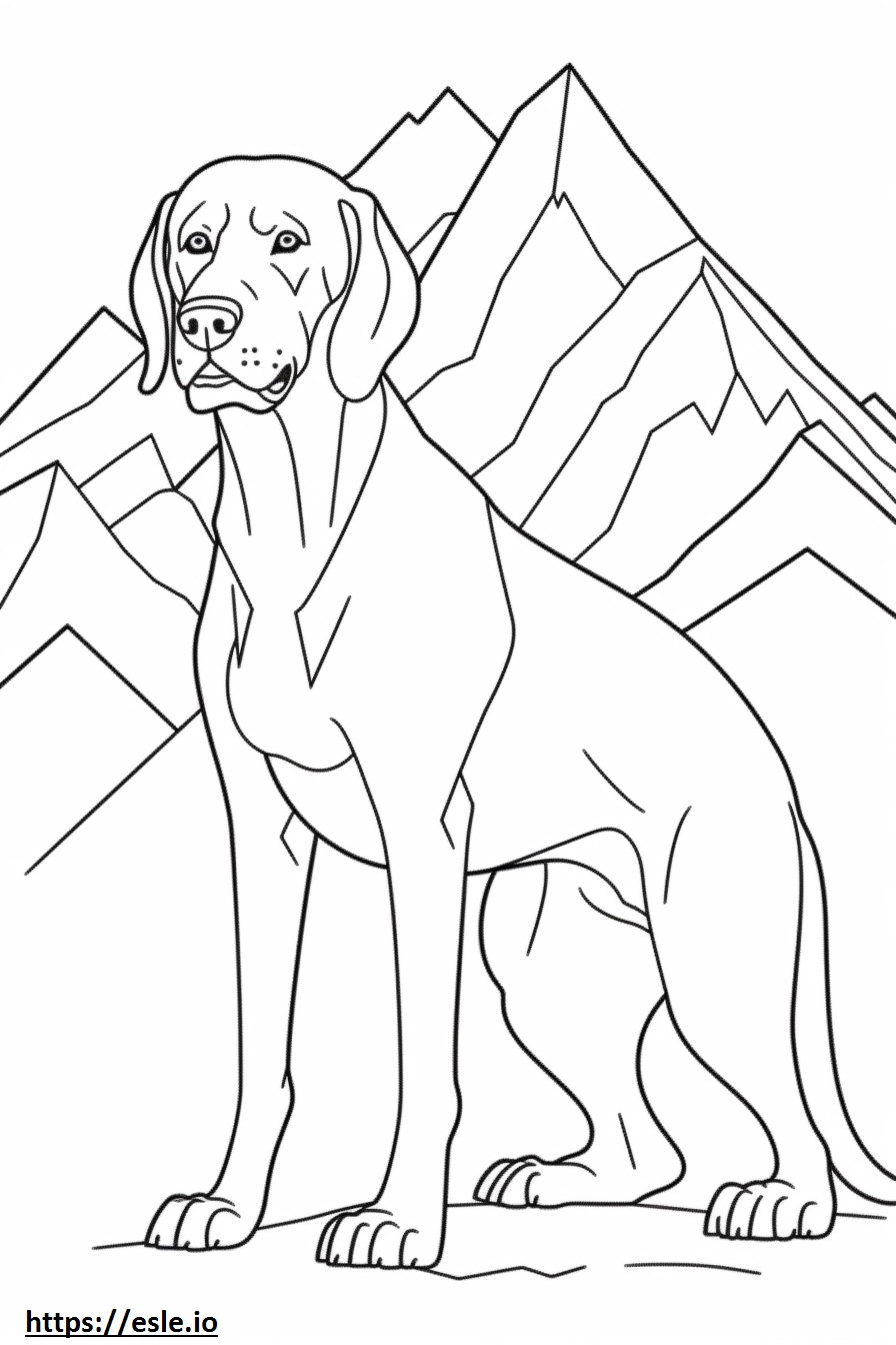 Cão de caça da montanha da Baviera fofo para colorir