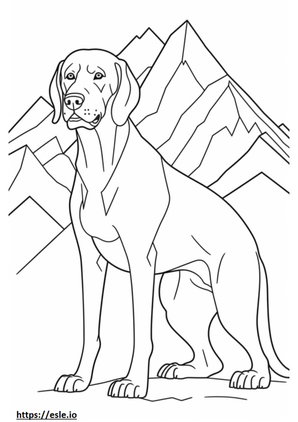 Bavarian Mountain Hound cute coloring page
